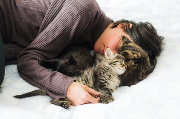 Dlaczego koty lubią spać na ludziach?  - Dlaczego twój kot śpi na twojej głowie?