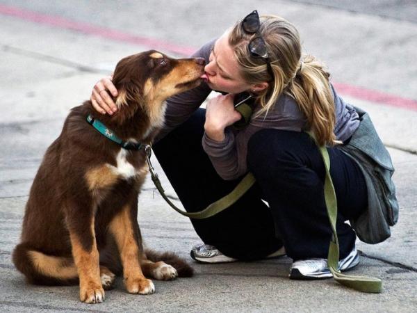 10 najlepszych gwiazd, które adoptowały psy - 1. Amanda Seyfried