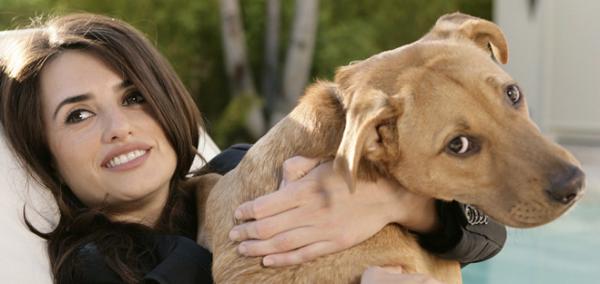 Top 10 celebrytów, którzy adoptowali psy — 9. Penelope Cruz