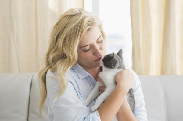 Dlaczego koty bardziej kochaja czlowieka