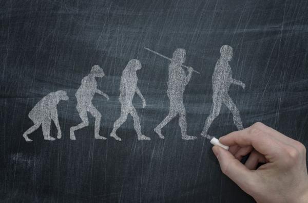 Pochodzenie i ewolucja naczelnych