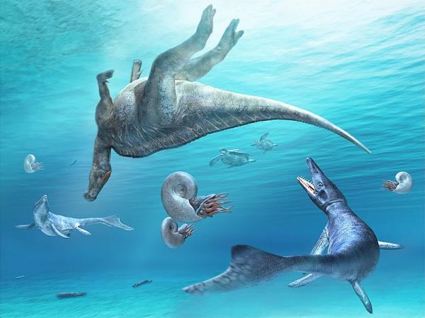 Rodzaje dinozaurow morskich nazwy i zdjecia