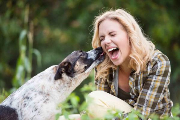 15 rzeczy ktorych wlasciciele psow nie powinni zapominac