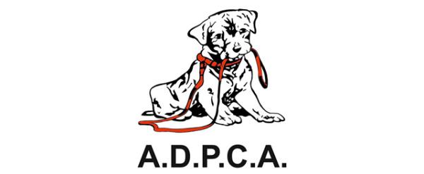 Gdzie adoptować psa w Saragossie - ADPCA.  Stowarzyszenie Obrony i Zapobiegania Okrucieństwu wobec Zwierząt