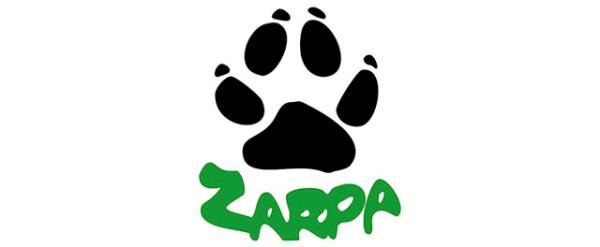 Gdzie adoptować psa w Saragossie - ZARPA.  Stowarzyszenie Ochrony Zwierząt w Saragossie