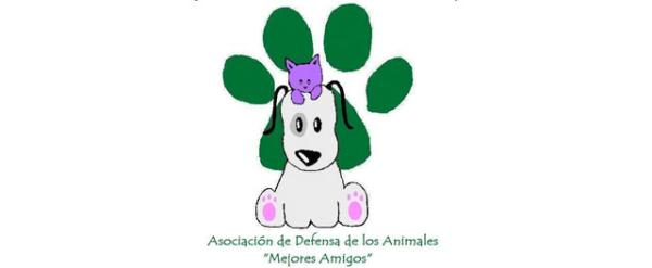 Gdzie adoptować psa w Saragossie - Stowarzyszenie Obrony Zwierząt ADAMA 