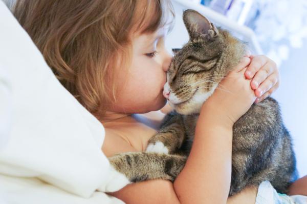 10 powodów, aby adoptować kota - 5. Koty są korzystne dla zdrowia