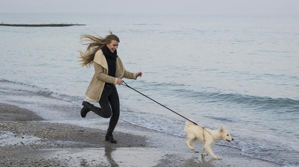 6 korzyści z wybiegania z psem - 3. Powiedz radości tak!