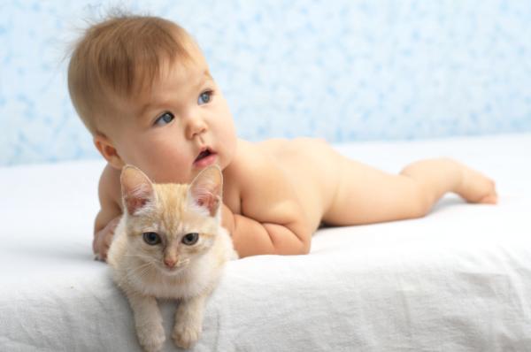 Korzyści z posiadania kota dla dzieci - Korzyści zdrowotne