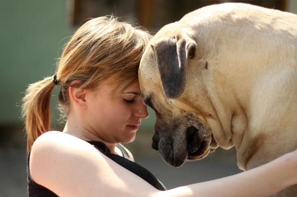 8 rzeczy, które Twój pies o Tobie wie - Rozróżniają Twoje nastroje