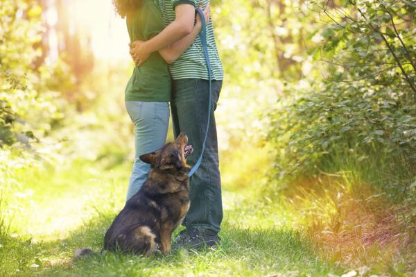 8 rzeczy, które Twój pies o Tobie wie - odróżniają miłość od nienawiści