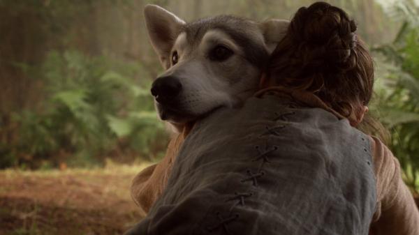 Wszystko o wilkach z Game of Thrones - Jakie są imiona psów z Game of Thrones?