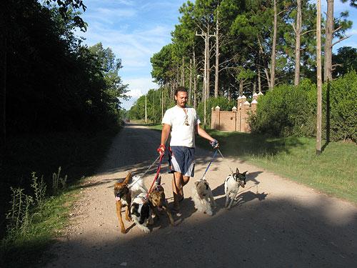 Hotele dla zwierząt w Buenos Aires - Pensjonat dla psów Zama