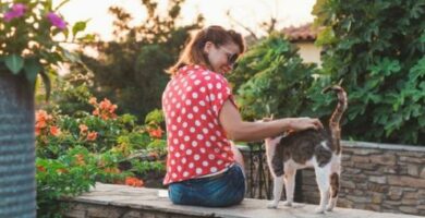 Wskazowki dotyczace adopcji bezpanskiego kota