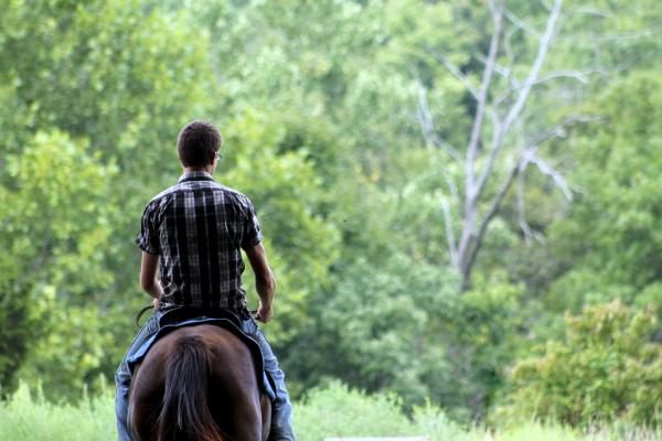 Rodzaje terapii z końmi - Profesjonaliści terapii z końmi