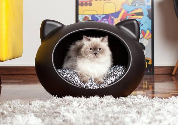 Meble dla kota - Amazon łóżko dla kota