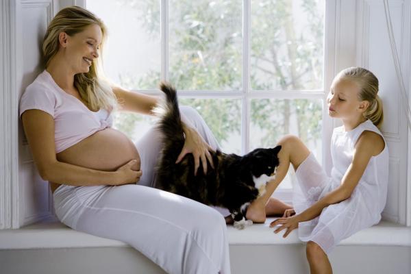 Czy źle jest mieć koty w ciąży?  - Toksoplazmoza, straszna choroba