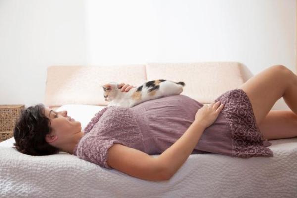 Czy źle jest mieć koty w ciąży?  - Wnioski