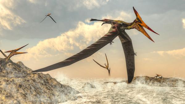 1644345185 30 Rodzaje latajacych dinozaurow – nazwy i obrazy