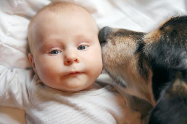 Prawidłowe zapoznanie dziecka z psem - Spokojne i pozytywne wprowadzenie