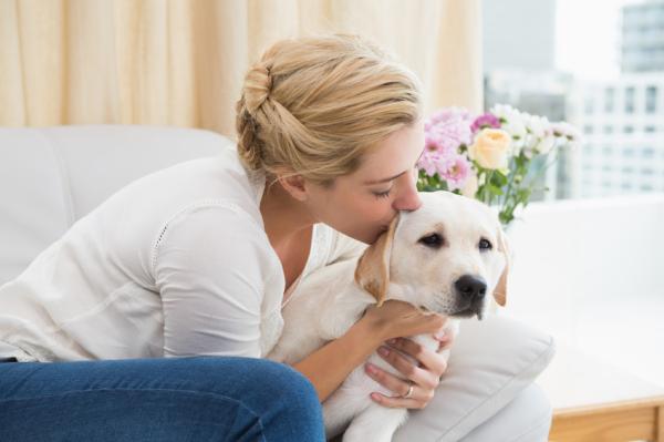 10 mitów na temat psów, które powinieneś znać - 9. Psy uwielbiają być przytulane