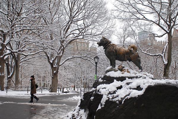 Historia Balto, wilczaka, który stał się bohaterem - Pomnik Balto w Central Parku