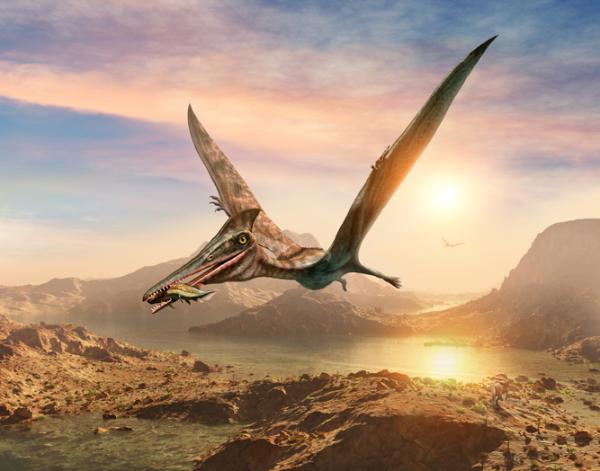 Rodzaje latajacych dinozaurow – nazwy i obrazy