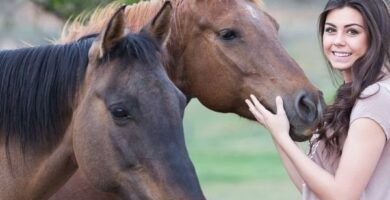 Rodzaje terapii koni
