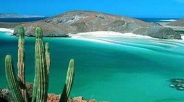Zwierzeta morskie Baja California